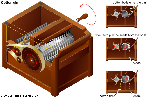 eli-whitney-videos-and-cotton-gin-craft-let-s-teach-history