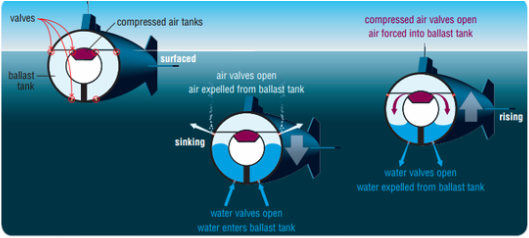 Image Credit: The Yellow Submarine Science Project