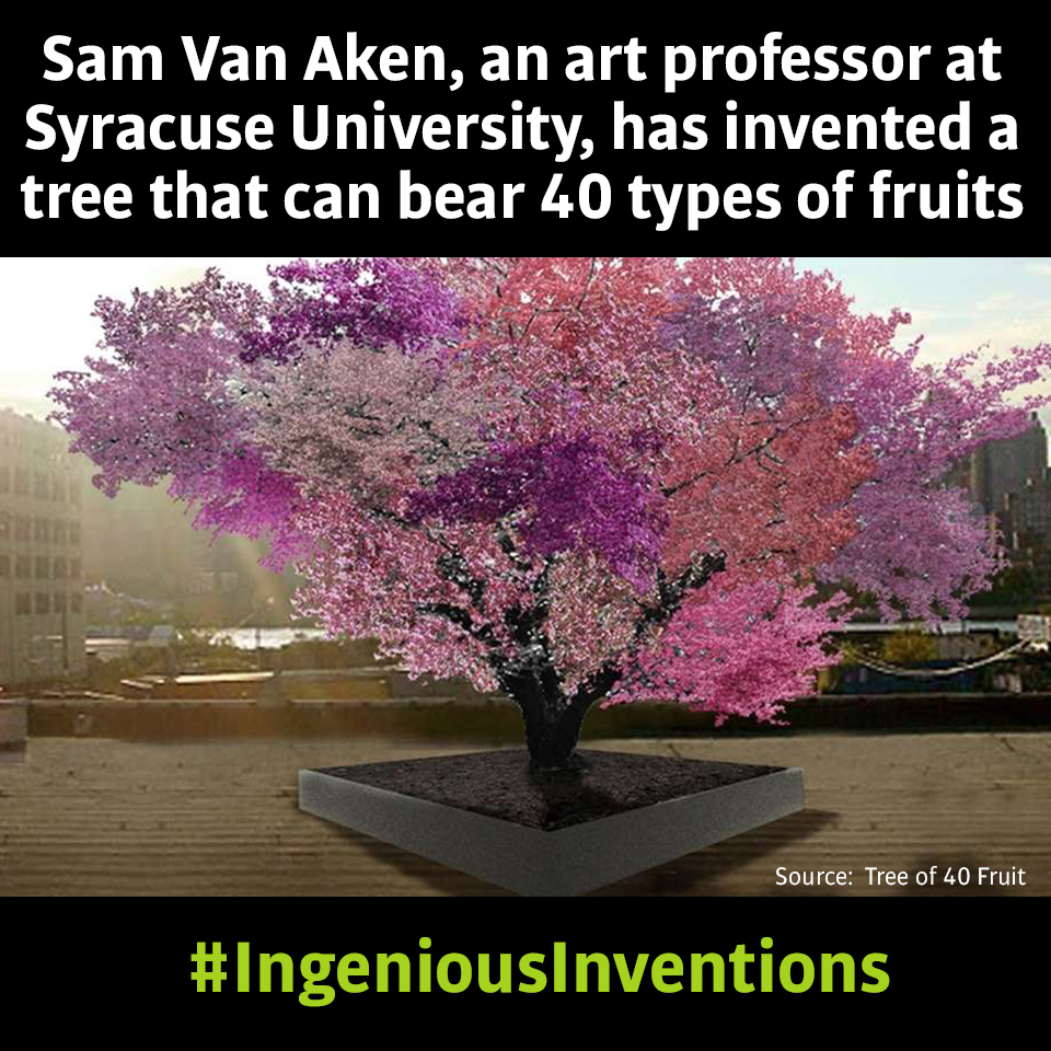 PatentYogi_Even trees can be invented