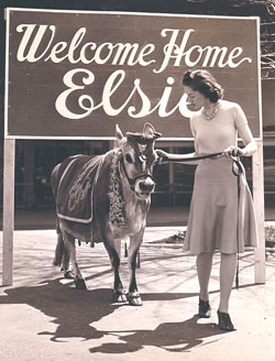 WelcomeBackElsie