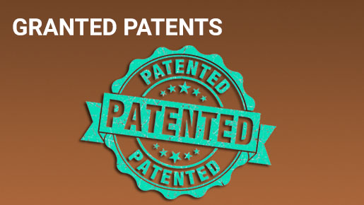 Latest Granted Patents published for Apple on May 10, 2022